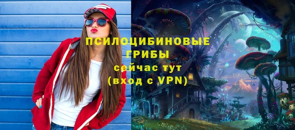 спайс Верея