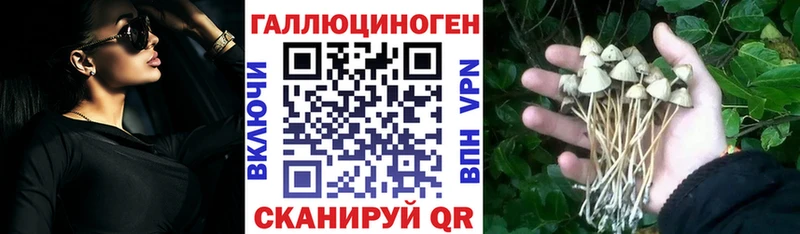 Галлюциногенные грибы Cubensis  hydra зеркало  Верхняя Тура 